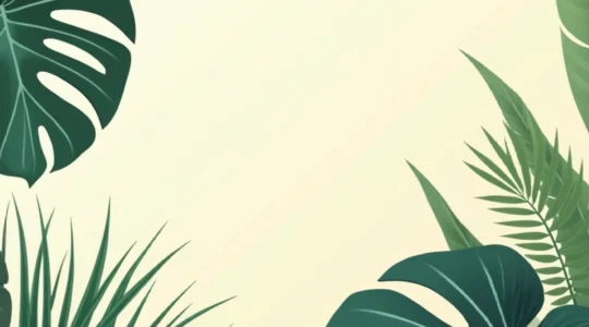 using plants for better air quality